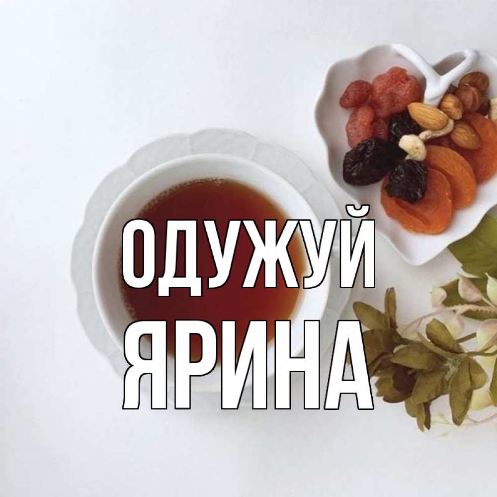 Открытка на каждый день з підписом, Ярина Одужуй неизвестные растения Прикольна листівка з побажанням онлайн скачати безкоштовно 