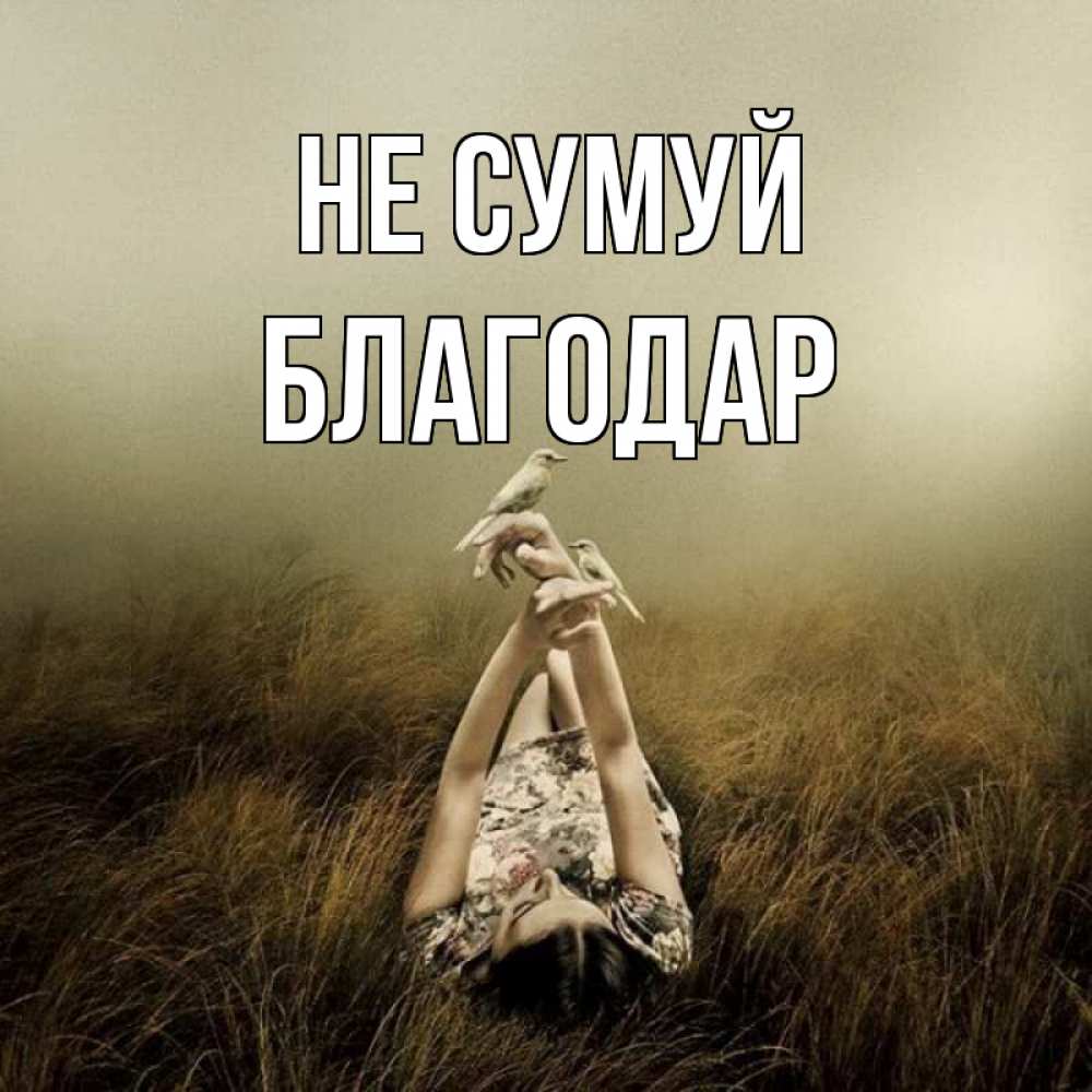 Открытка на каждый день з підписом, Благодар Не сумуй поле и туман Прикольна листівка з побажанням онлайн скачати безкоштовно 