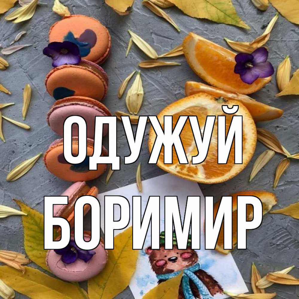 Открытка на каждый день з підписом, Боримир Одужуй не болейте Прикольна листівка з побажанням онлайн скачати безкоштовно 