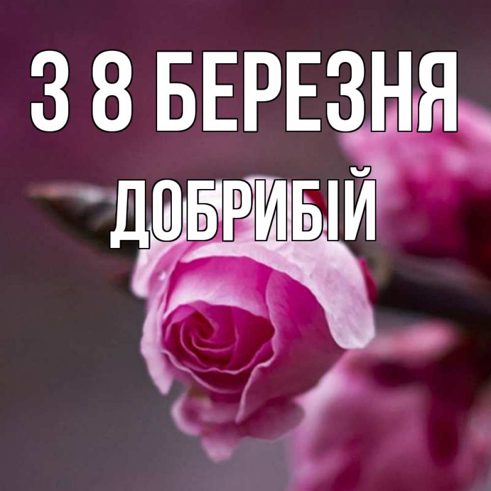 Открытка на каждый день з підписом, Добрибій З 8 БЕРЕЗНЯ весна Прикольна листівка з побажанням онлайн скачати безкоштовно 