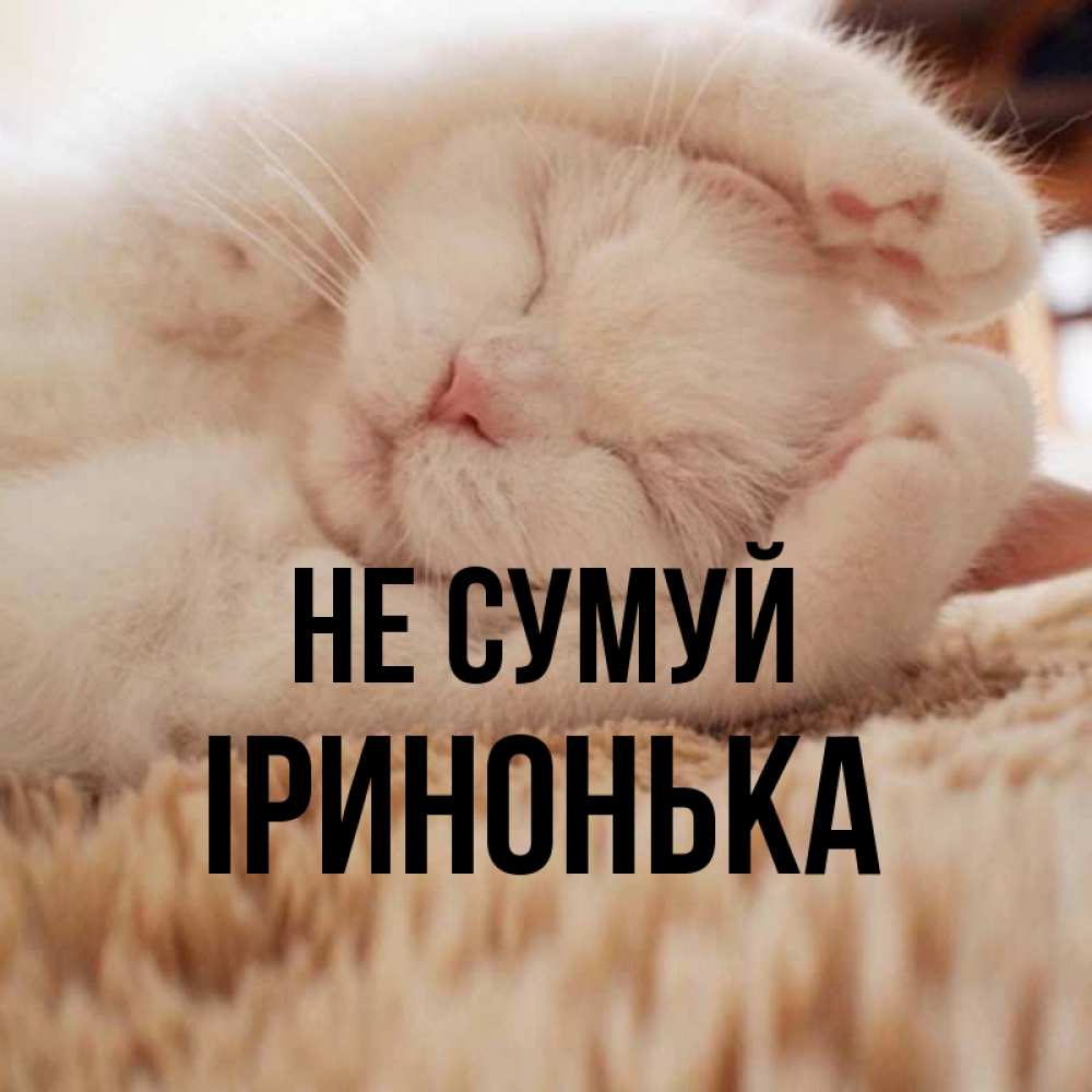 Открытка на каждый день з підписом, Іринонька Не сумуй Котенок спит Прикольна листівка з побажанням онлайн скачати безкоштовно 
