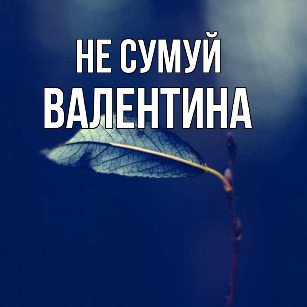 Открытка на каждый день з підписом, Валентина Не сумуй растение Прикольна листівка з побажанням онлайн скачати безкоштовно 