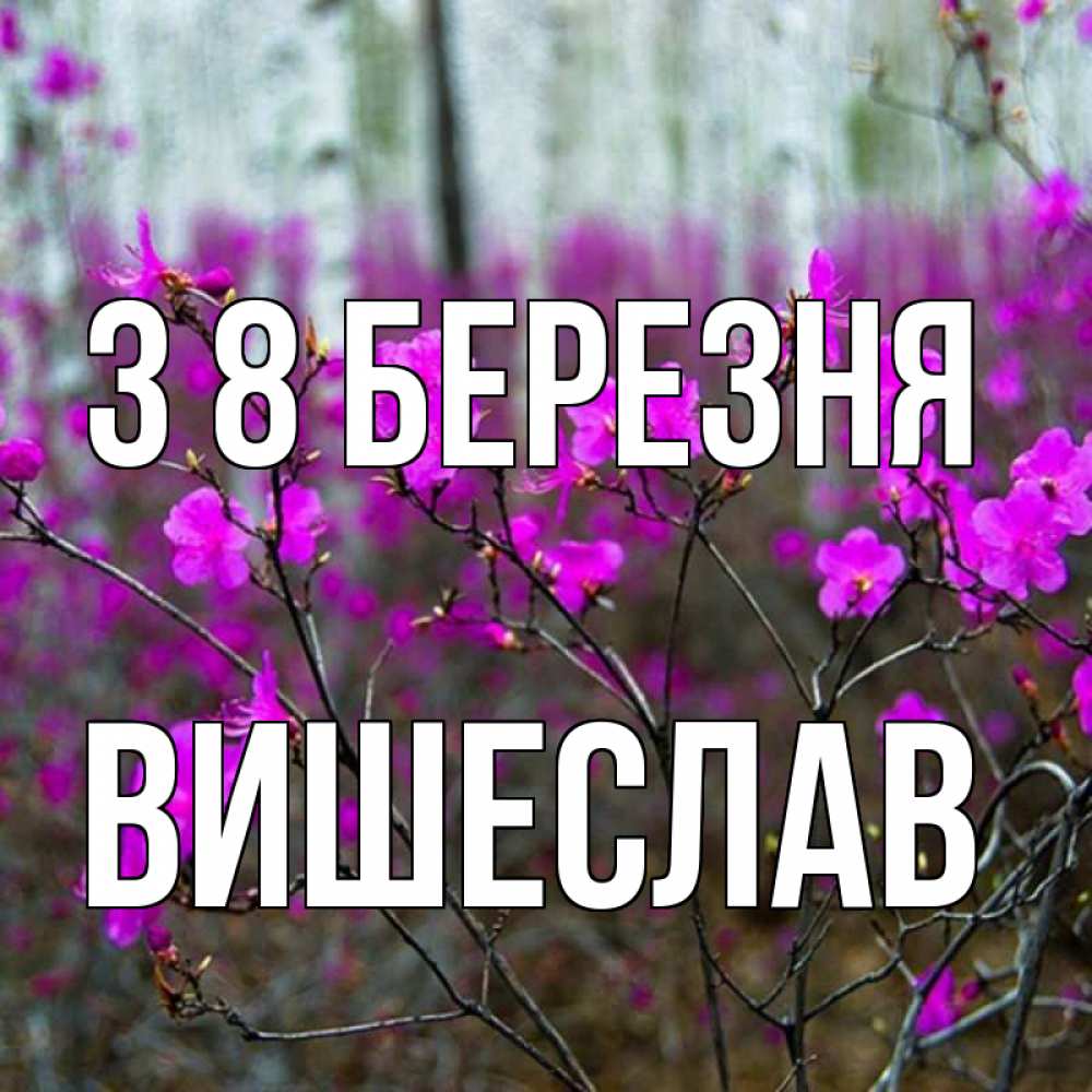 Открытка на каждый день з підписом, Вишеслав З 8 БЕРЕЗНЯ дикие цветы Прикольна листівка з побажанням онлайн скачати безкоштовно 