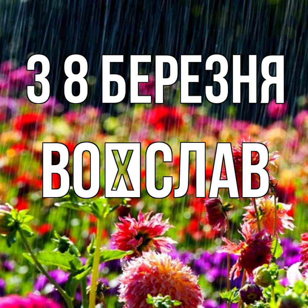Открытка на каждый день з підписом, Воїслав З 8 БЕРЕЗНЯ цветы под дождиком к международному женскому дню Прикольна листівка з побажанням онлайн скачати безкоштовно 