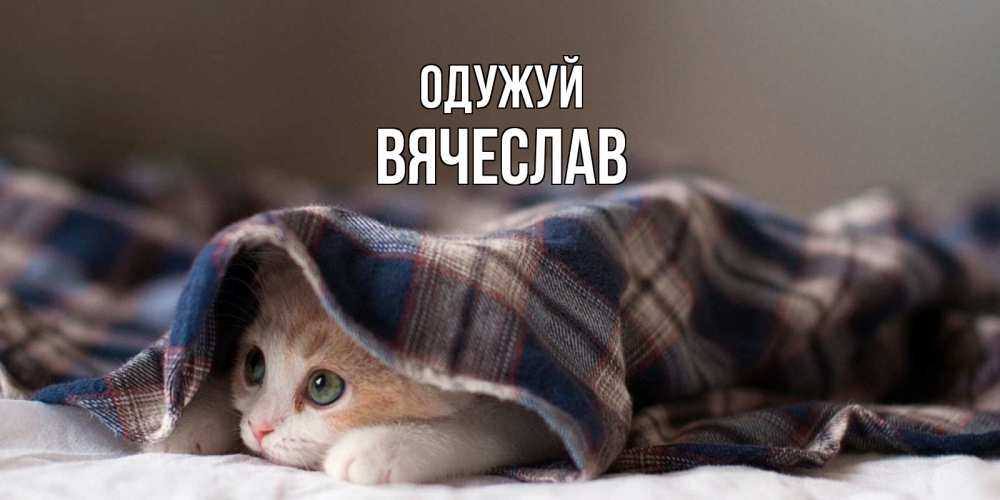 Открытка на каждый день з підписом, Вячеслав Одужуй не болейте с котиком Прикольна листівка з побажанням онлайн скачати безкоштовно 