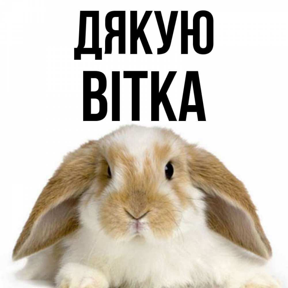Открытка на каждый день з підписом, Вітка Дякую коричнево белый заяц Прикольна листівка з побажанням онлайн скачати безкоштовно 