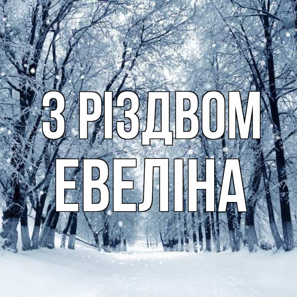 Открытка на каждый день з підписом, Евеліна З Різдвом снег, лес, парк Прикольна листівка з побажанням онлайн скачати безкоштовно 