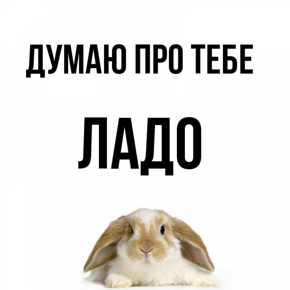Открытка на каждый день з підписом, Ладо Думаю про тебе подписать своими руками онлайн Прикольна листівка з побажанням онлайн скачати безкоштовно 