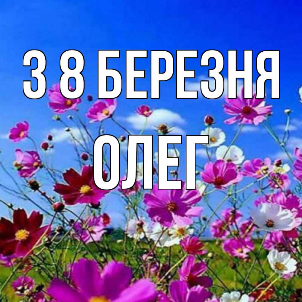 Открытка на каждый день з підписом, Олег З 8 БЕРЕЗНЯ цветы Прикольна листівка з побажанням онлайн скачати безкоштовно 