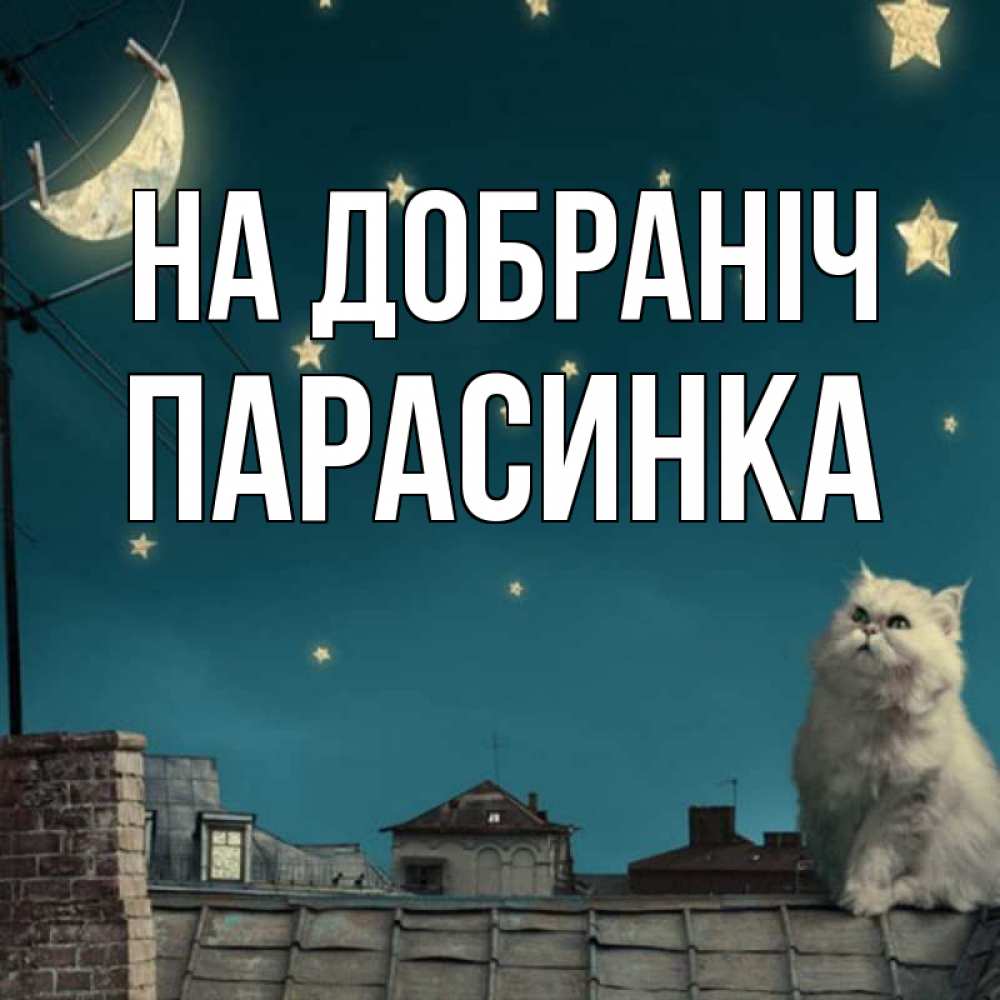 Открытка на каждый день з підписом, Парасинка На добраніч белый кот сидит на крыше Прикольна листівка з побажанням онлайн скачати безкоштовно 
