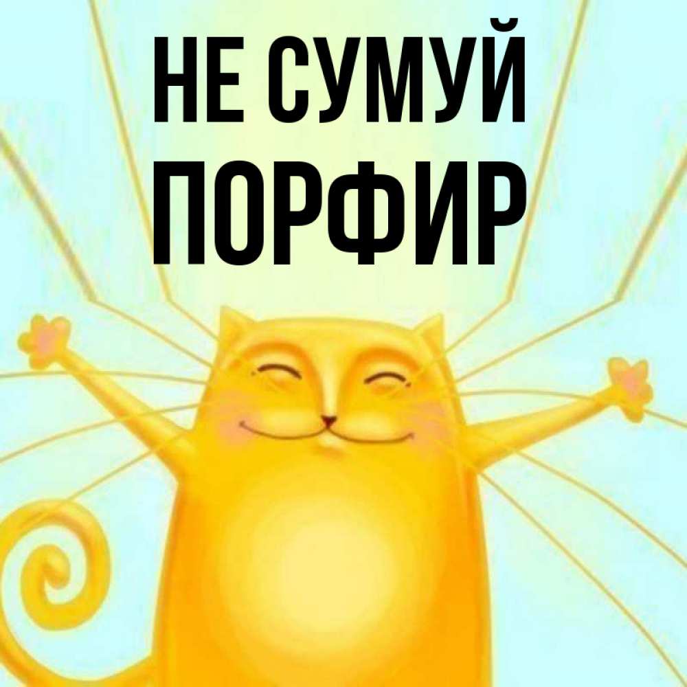 Открытка на каждый день з підписом, Порфир Не сумуй обнимашки усатые Прикольна листівка з побажанням онлайн скачати безкоштовно 