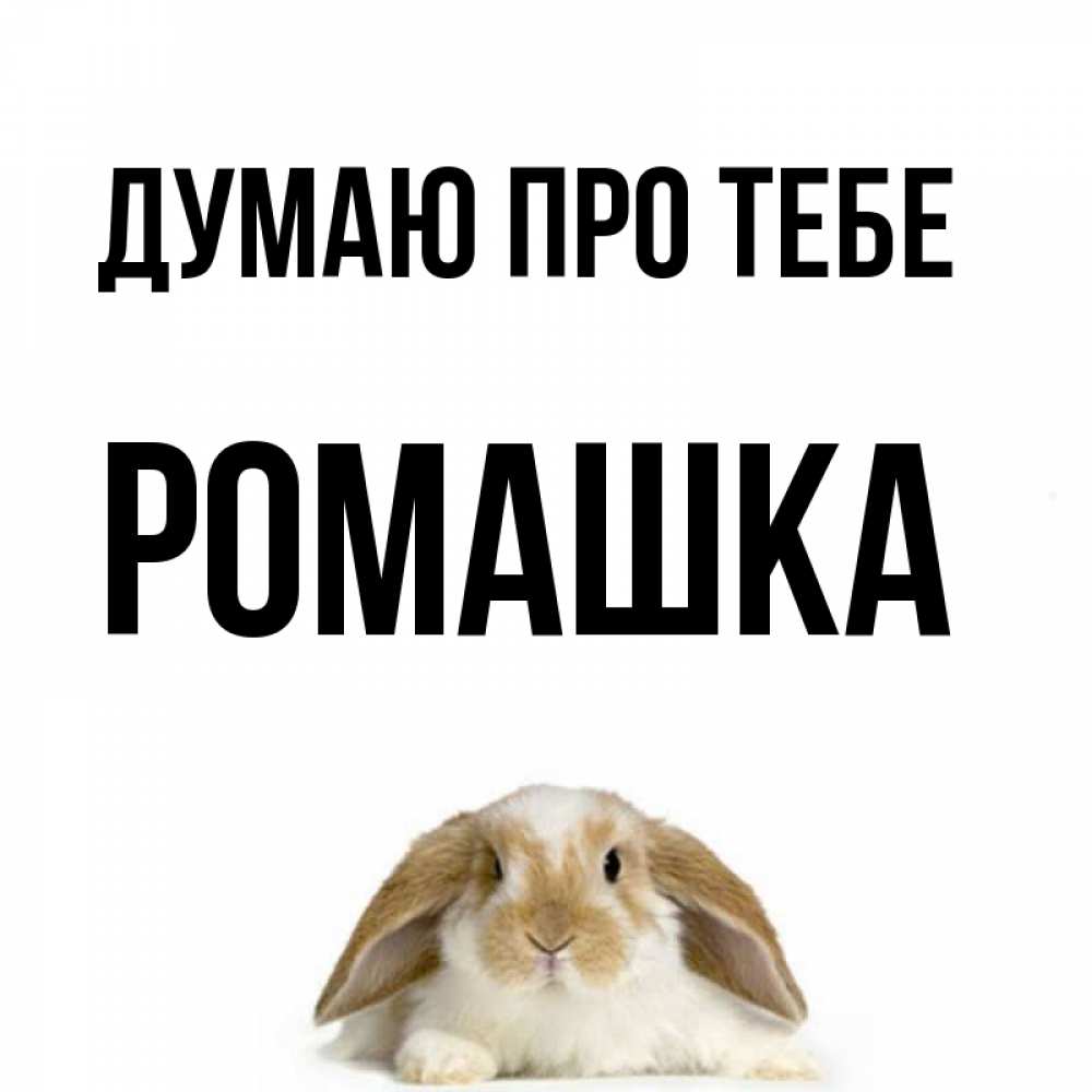 Открытка на каждый день з підписом, Ромашка Думаю про тебе подписать своими руками онлайн Прикольна листівка з побажанням онлайн скачати безкоштовно 