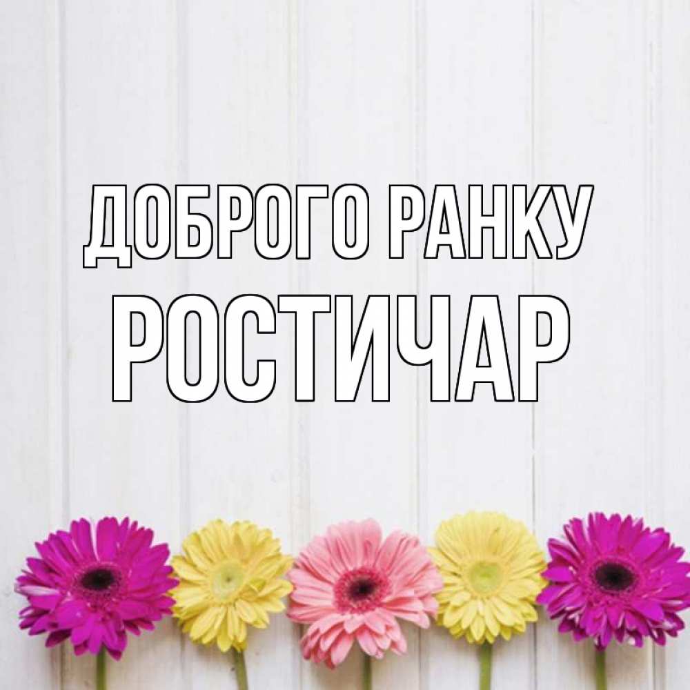 Открытка на каждый день з підписом, Ростичар Доброго ранку красный желтый и розовый цветок Прикольна листівка з побажанням онлайн скачати безкоштовно 