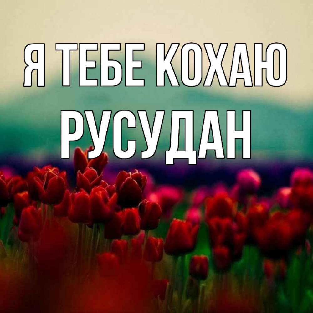 Открытка на каждый день з підписом, Русудан Я тебе кохаю тюльпаны 4 Прикольна листівка з побажанням онлайн скачати безкоштовно 