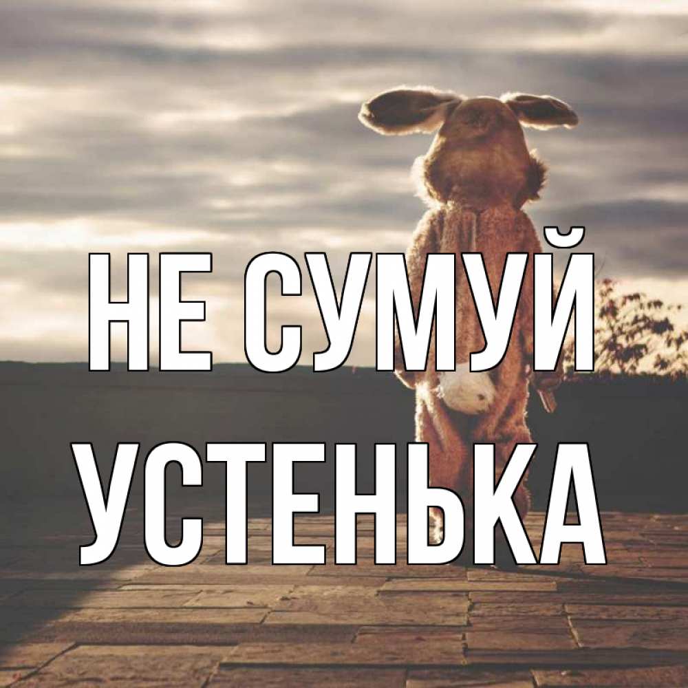 Открытка на каждый день з підписом, Устенька Не сумуй со спины Прикольна листівка з побажанням онлайн скачати безкоштовно 