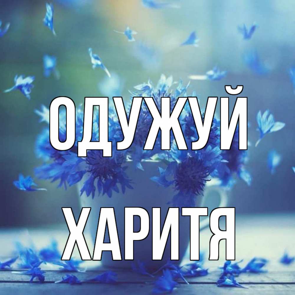 Открытка на каждый день з підписом, Харитя Одужуй кружка с зельем и цветами Прикольна листівка з побажанням онлайн скачати безкоштовно 