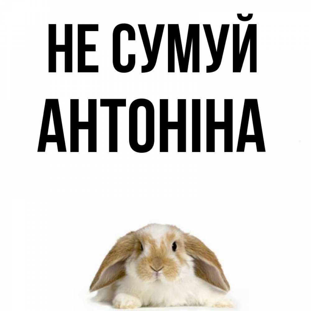 Открытка на каждый день з підписом, Антоніна Не сумуй коричнево белый заяц с большими ушками Прикольна листівка з побажанням онлайн скачати безкоштовно 
