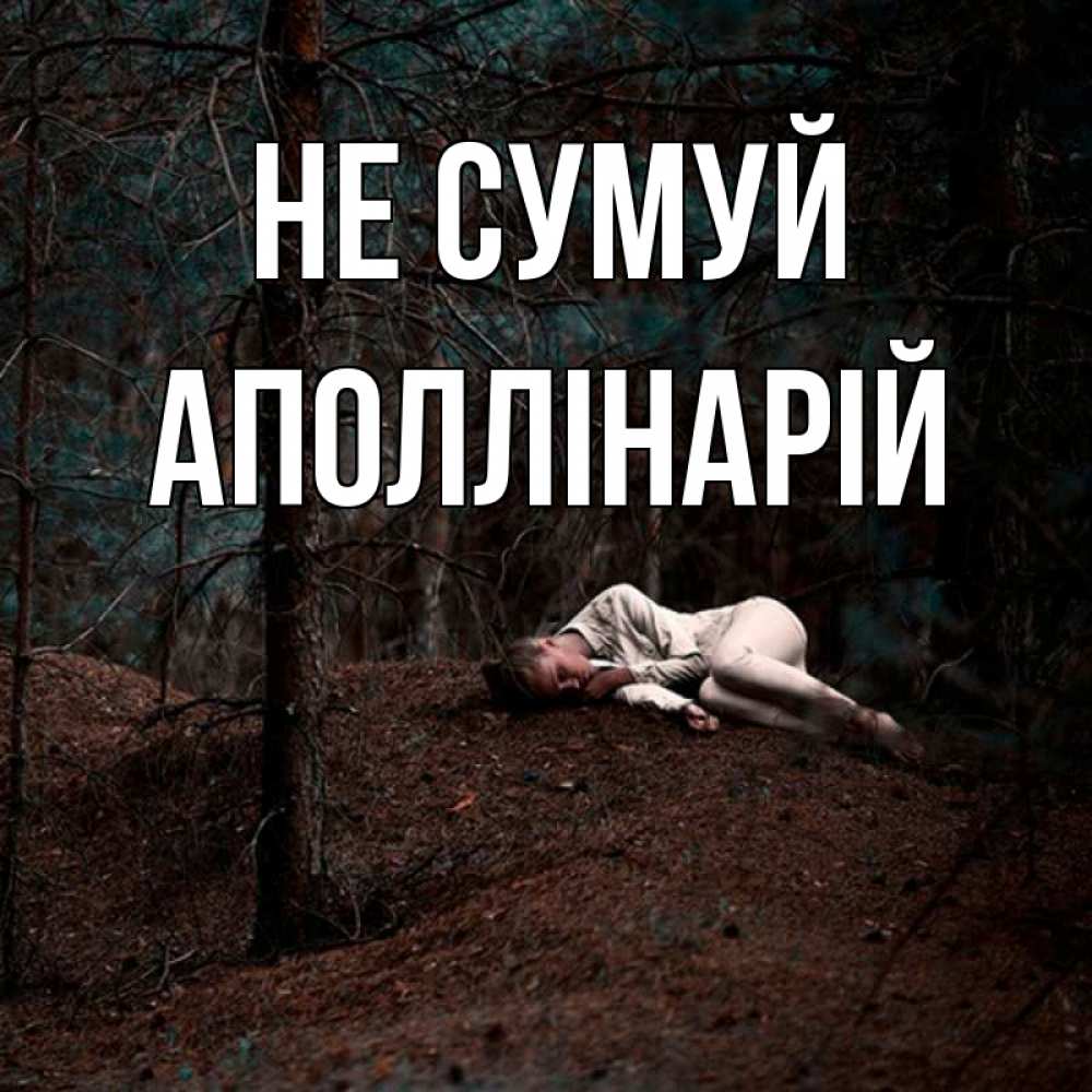 Открытка на каждый день з підписом, Аполлінарій Не сумуй лес Прикольна листівка з побажанням онлайн скачати безкоштовно 