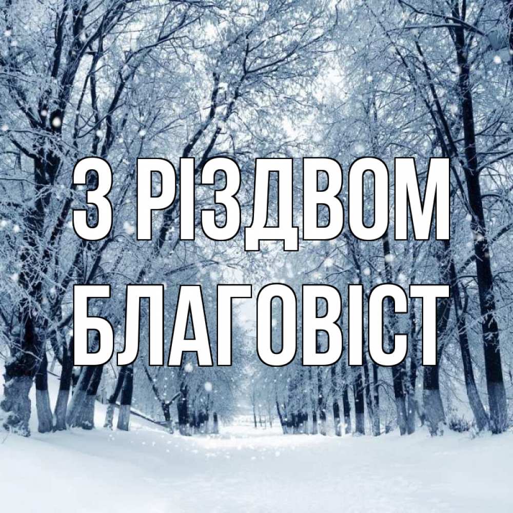 Открытка на каждый день з підписом, Благовіст З Різдвом снег, лес, парк Прикольна листівка з побажанням онлайн скачати безкоштовно 