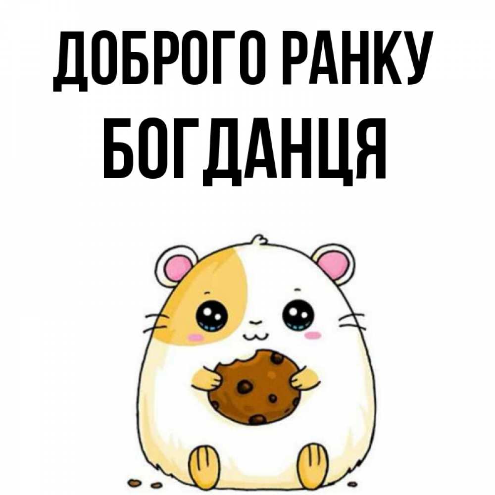 Открытка на каждый день з підписом, Богданця Доброго ранку есть печеньку. Утречко Прикольна листівка з побажанням онлайн скачати безкоштовно 
