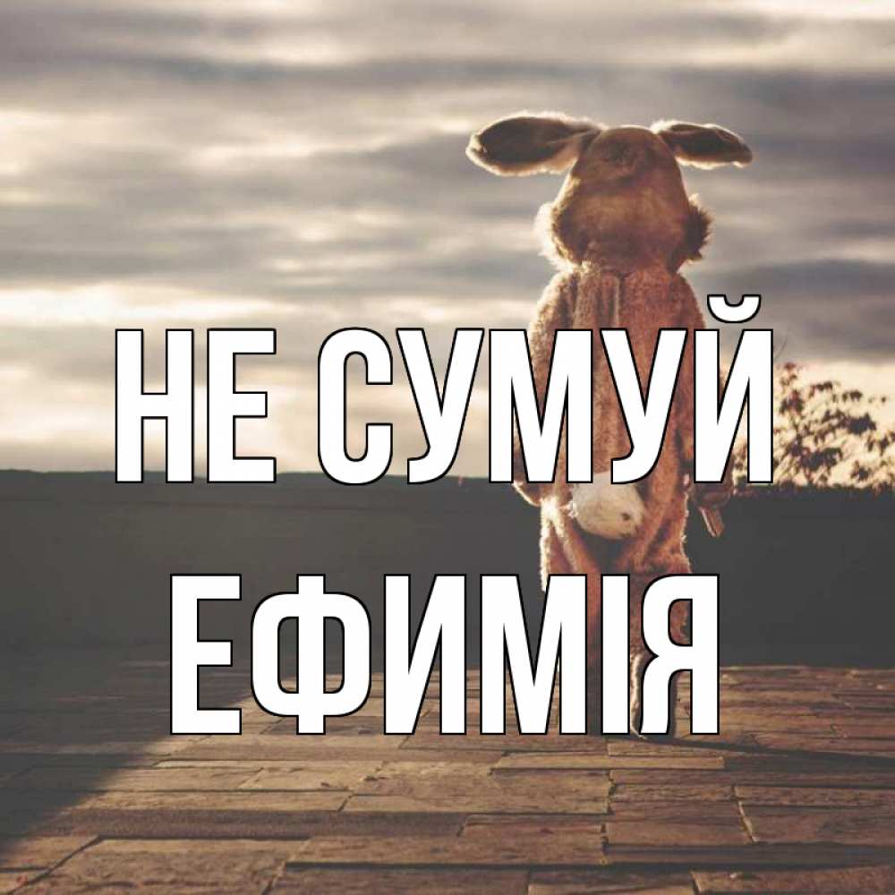 Открытка на каждый день з підписом, Ефимія Не сумуй со спины Прикольна листівка з побажанням онлайн скачати безкоштовно 
