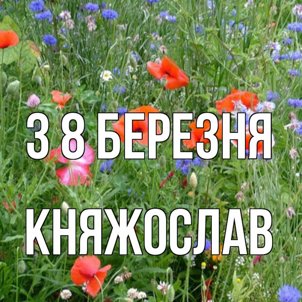 Открытка на каждый день з підписом, Княжослав З 8 БЕРЕЗНЯ международный женский день 4 Прикольна листівка з побажанням онлайн скачати безкоштовно 