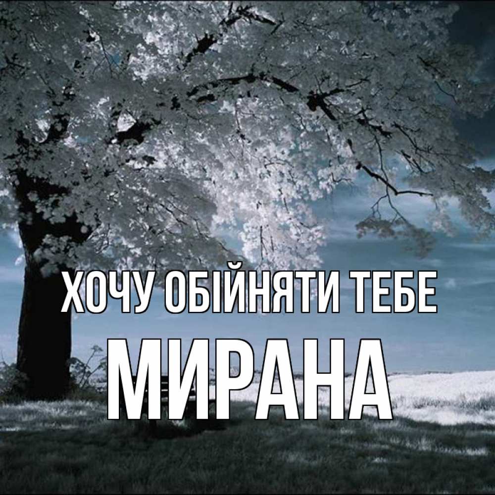 Открытка на каждый день з підписом, Мирана Хочу обійняти тебе дерево Прикольна листівка з побажанням онлайн скачати безкоштовно 