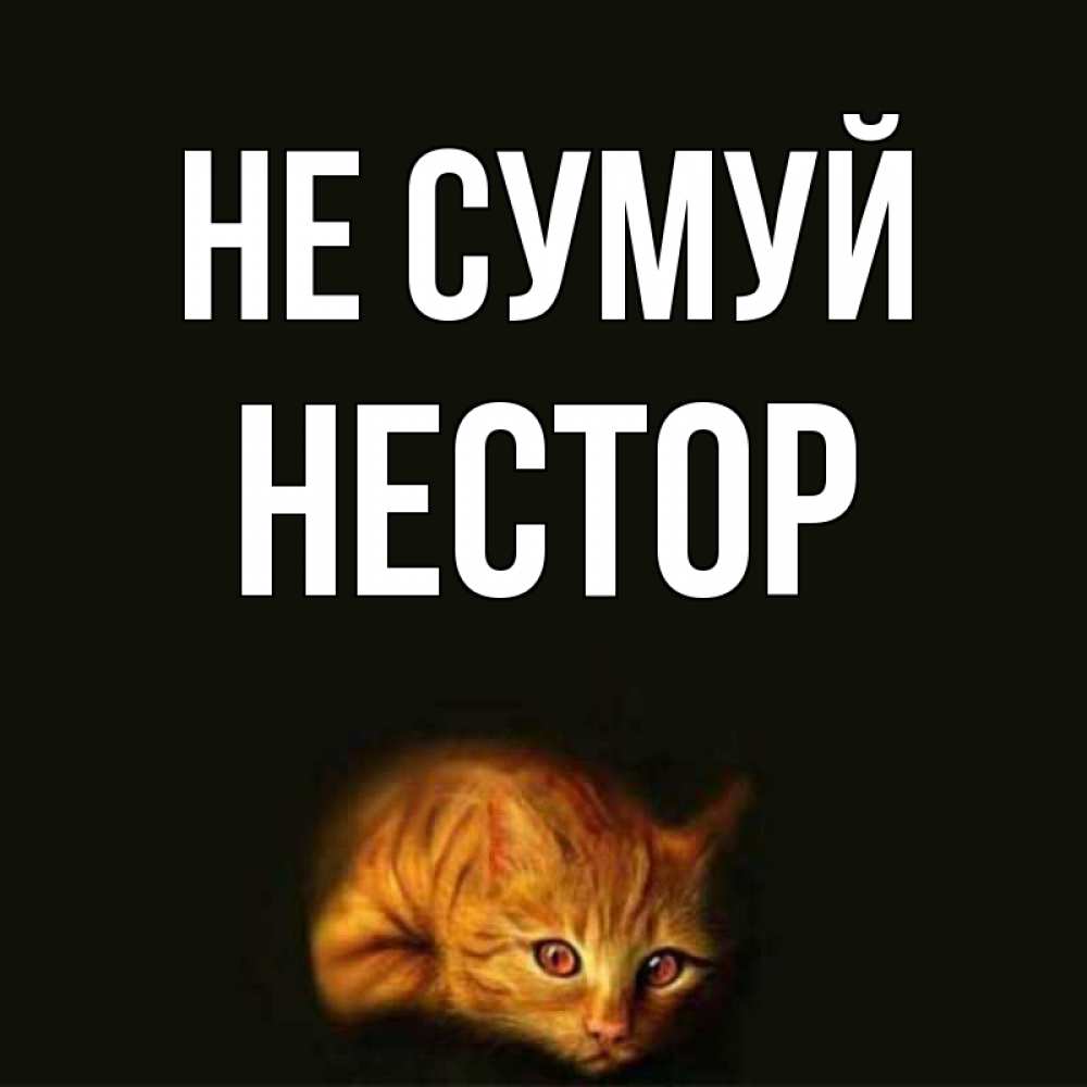 Открытка на каждый день з підписом, Нестор Не сумуй лежащий кот в темноте Прикольна листівка з побажанням онлайн скачати безкоштовно 