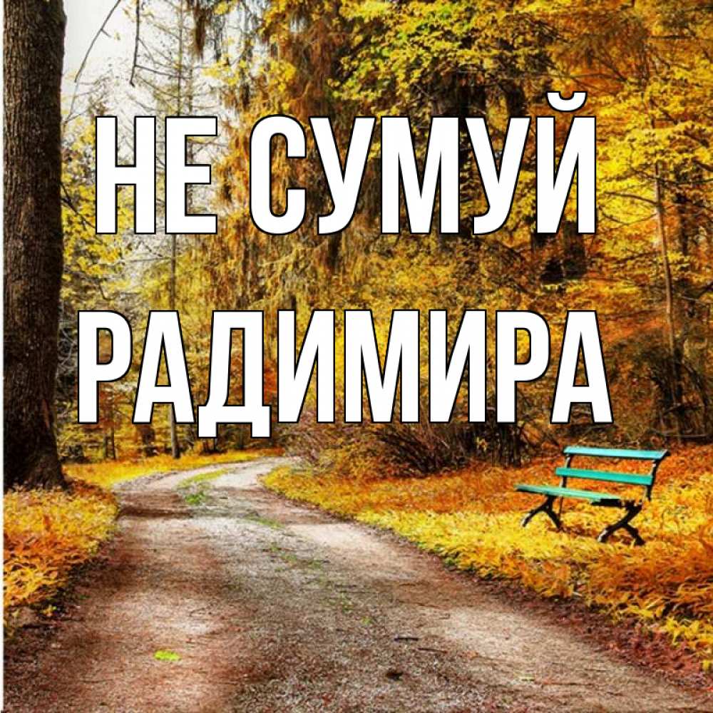 Открытка на каждый день з підписом, Радимира Не сумуй зеленая лавочка Прикольна листівка з побажанням онлайн скачати безкоштовно 