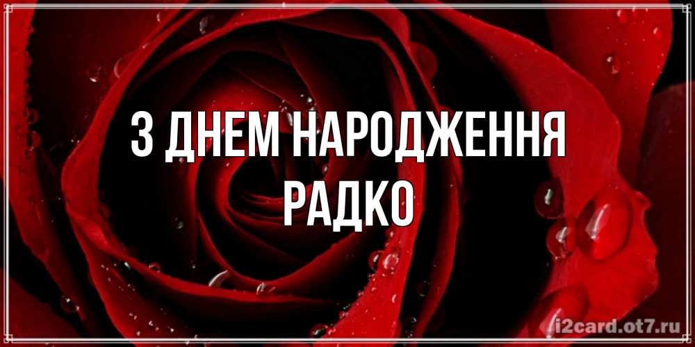 Открытка на каждый день з підписом, Радко З Днем народження крупная бордовая роза Прикольна листівка з побажанням онлайн скачати безкоштовно 