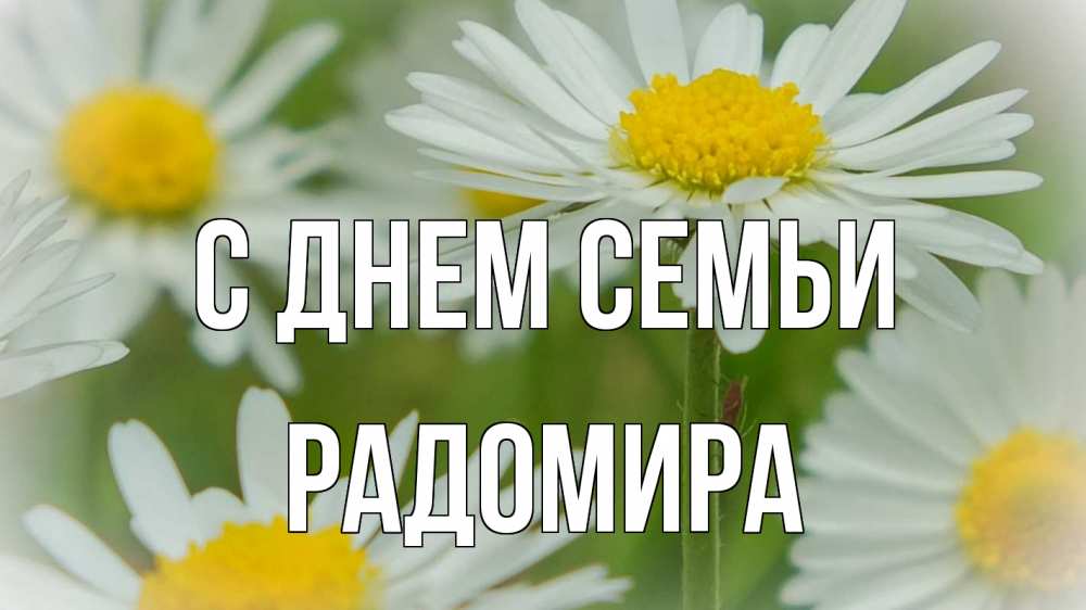 Открытка на каждый день з підписом, Радомира С днем семьи с днем семьи  1 Прикольна листівка з побажанням онлайн скачати безкоштовно 