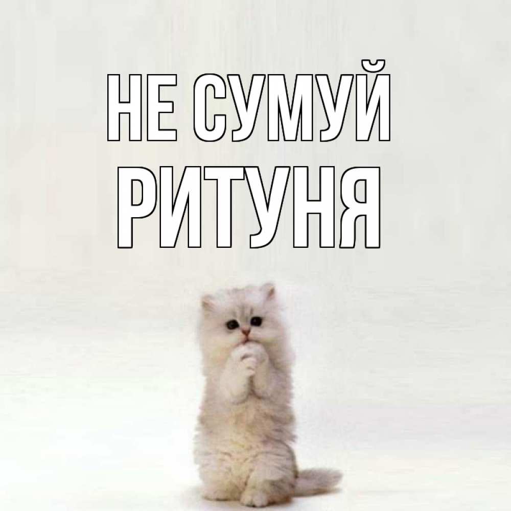 Открытка на каждый день з підписом, Ритуня Не сумуй грустный кот Прикольна листівка з побажанням онлайн скачати безкоштовно 