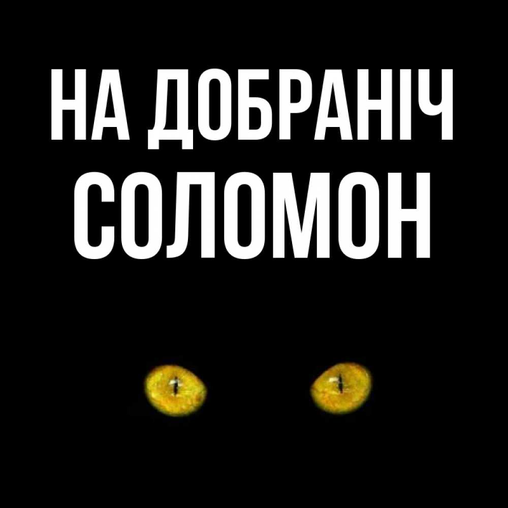 Открытка на каждый день з підписом, Соломон На добраніч сладких снов бесстрашный мой дружочек Прикольна листівка з побажанням онлайн скачати безкоштовно 