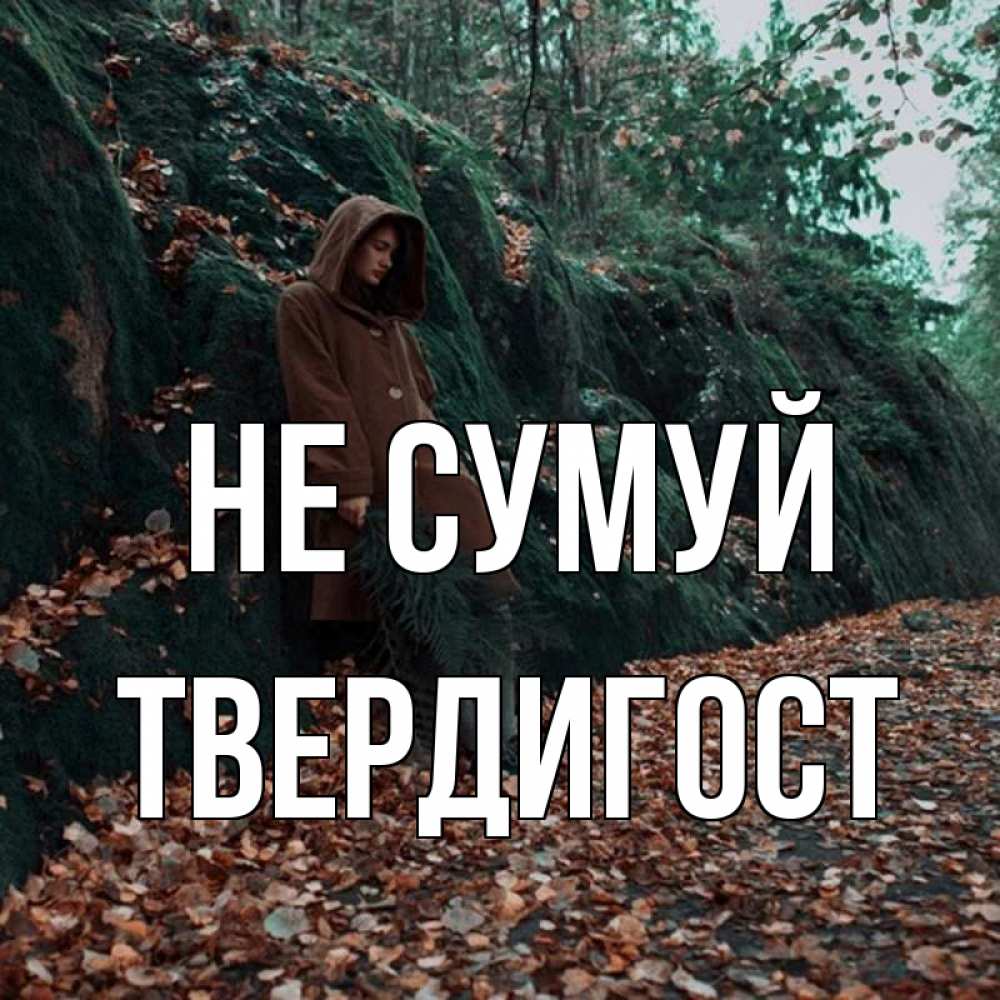 Открытка на каждый день з підписом, Твердигост Не сумуй осенний лес Прикольна листівка з побажанням онлайн скачати безкоштовно 