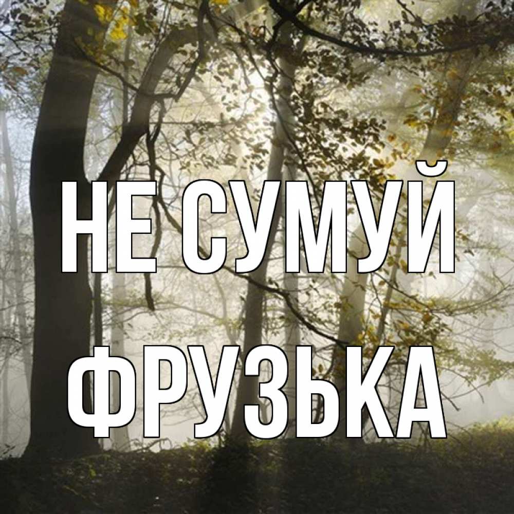 Открытка на каждый день з підписом, Фрузька Не сумуй лес и свет Прикольна листівка з побажанням онлайн скачати безкоштовно 