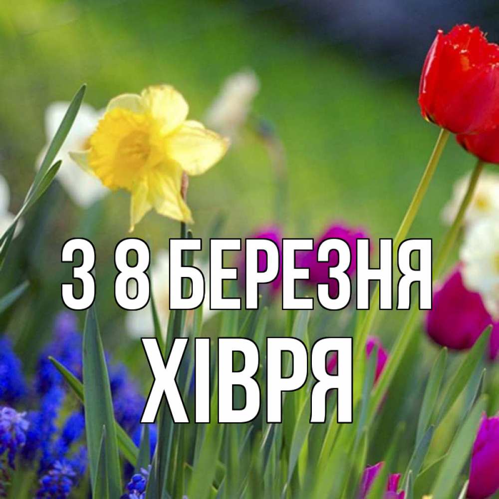 Открытка на каждый день з підписом, Хівря З 8 БЕРЕЗНЯ международный женский день 3 Прикольна листівка з побажанням онлайн скачати безкоштовно 