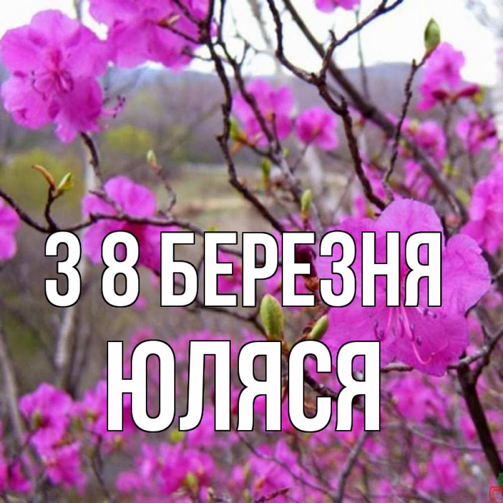 Открытка на каждый день з підписом, Юляся З 8 БЕРЕЗНЯ международный женский день Прикольна листівка з побажанням онлайн скачати безкоштовно 