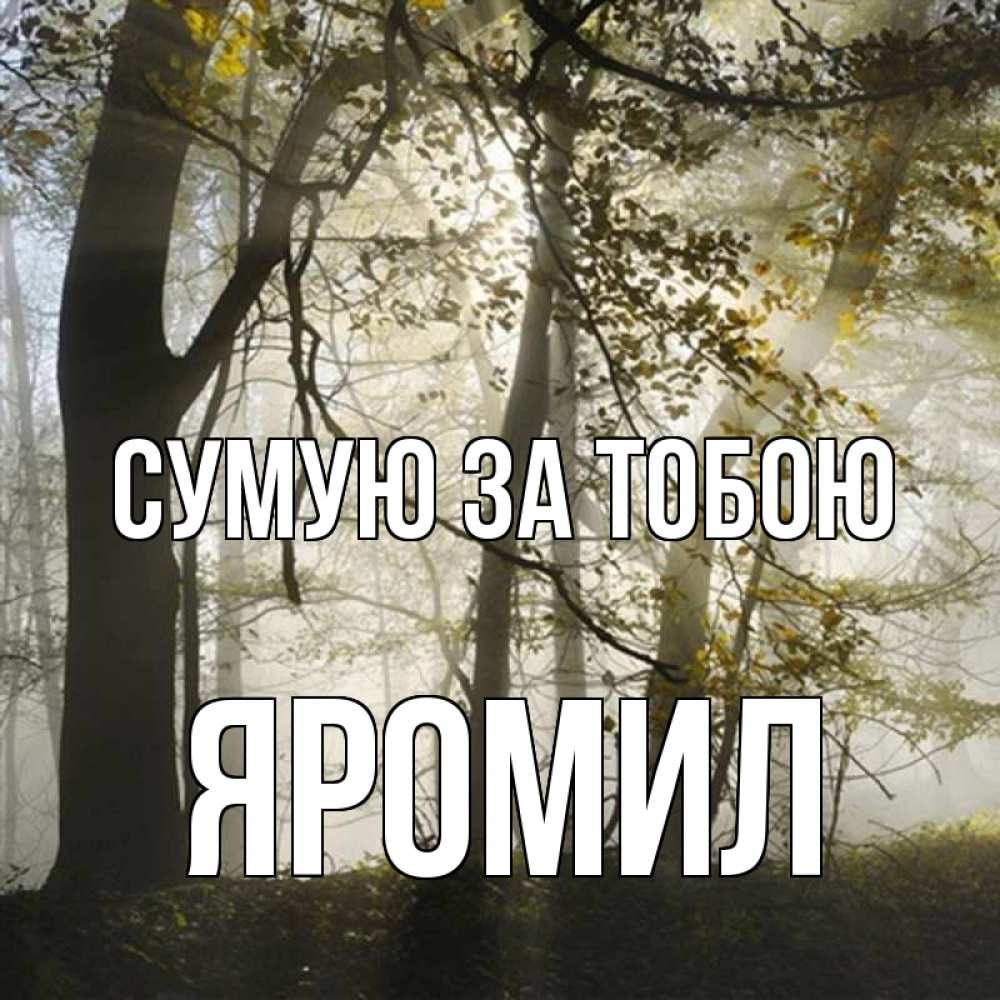 Открытка на каждый день з підписом, Яромил Сумую за тобою грустно Прикольна листівка з побажанням онлайн скачати безкоштовно 