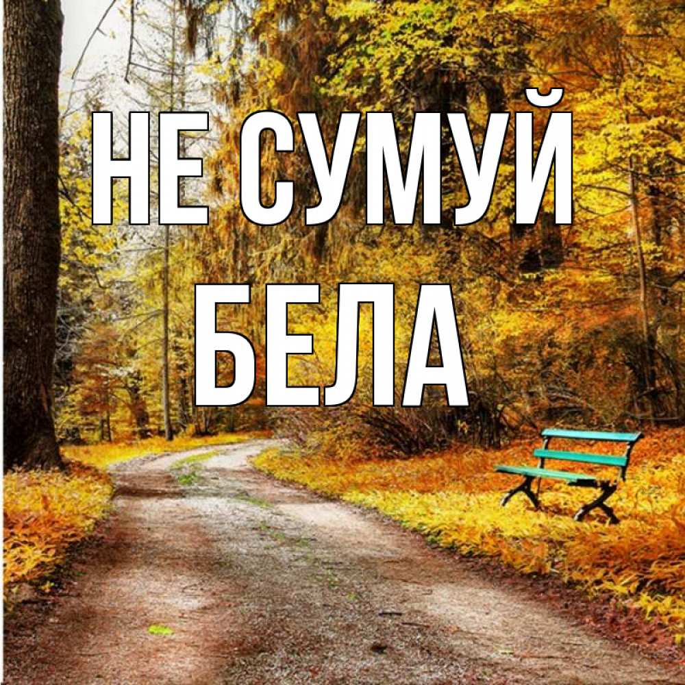 Открытка на каждый день з підписом, Бела Не сумуй зеленая лавочка Прикольна листівка з побажанням онлайн скачати безкоштовно 