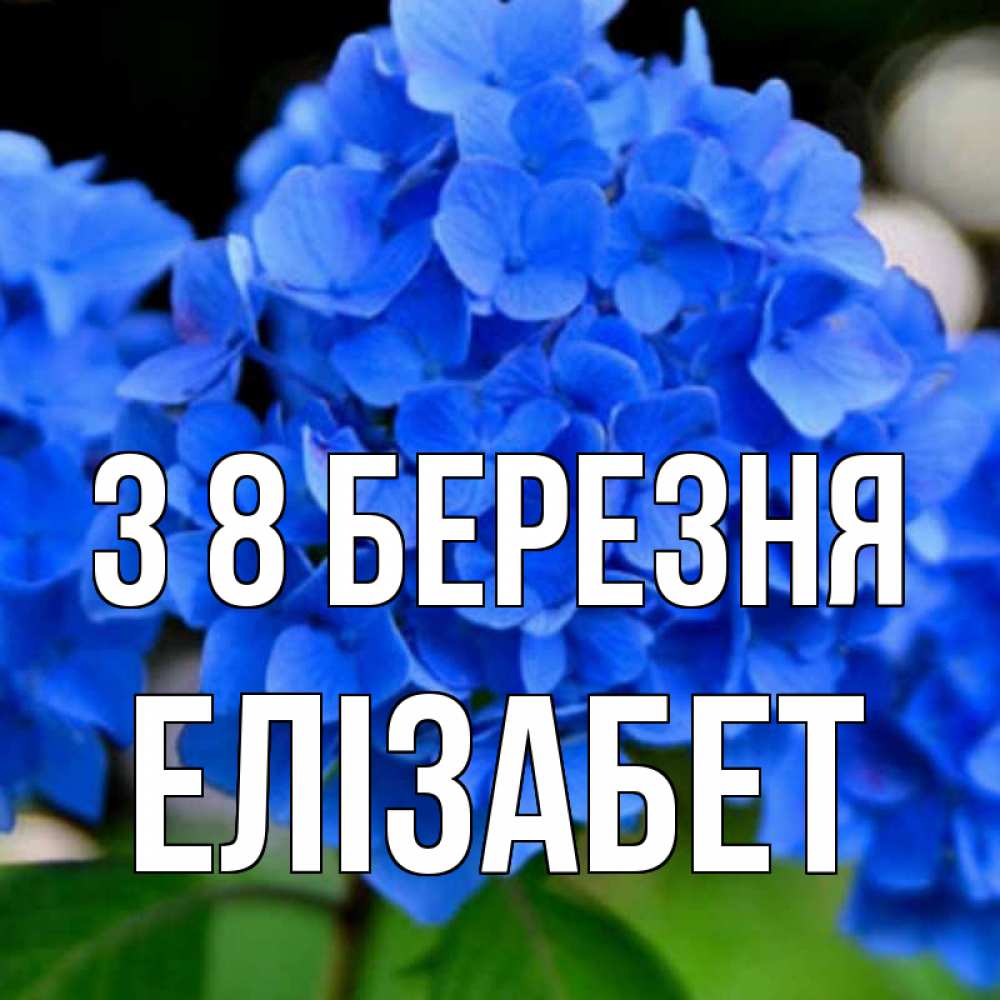 Открытка на каждый день з підписом, Елізабет З 8 БЕРЕЗНЯ синие цветы Прикольна листівка з побажанням онлайн скачати безкоштовно 