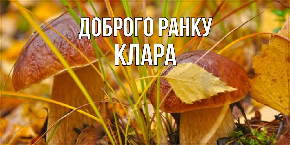 Открытка на каждый день з підписом, Клара Доброго ранку осенние грибы Прикольна листівка з побажанням онлайн скачати безкоштовно 