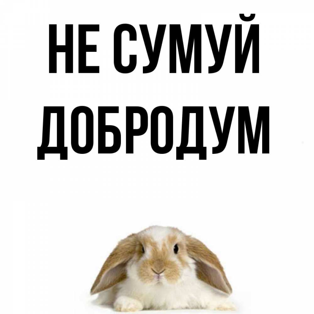 Открытка на каждый день з підписом, Добродум Не сумуй коричнево белый заяц с большими ушками Прикольна листівка з побажанням онлайн скачати безкоштовно 