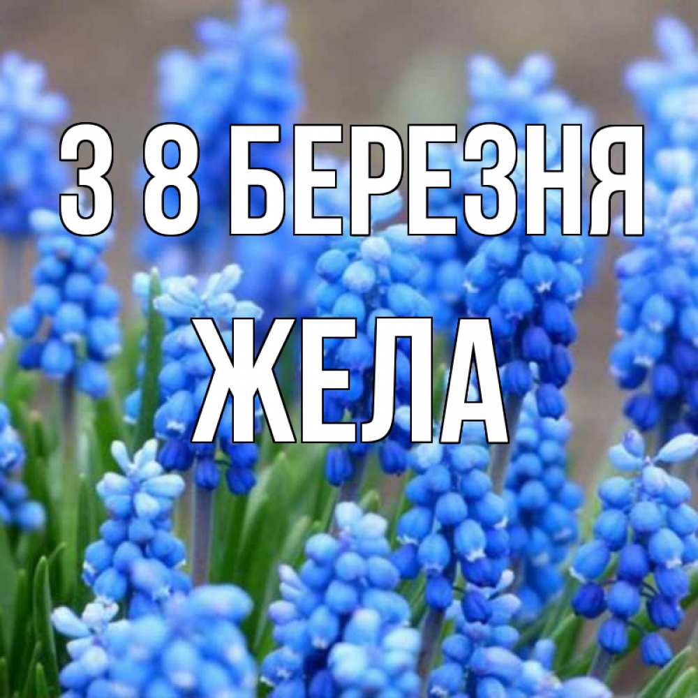 Открытка на каждый день з підписом, Жела З 8 БЕРЕЗНЯ Поздравительная открытка для женщин с цветами на праздничную дату Прикольна листівка з побажанням онлайн скачати безкоштовно 