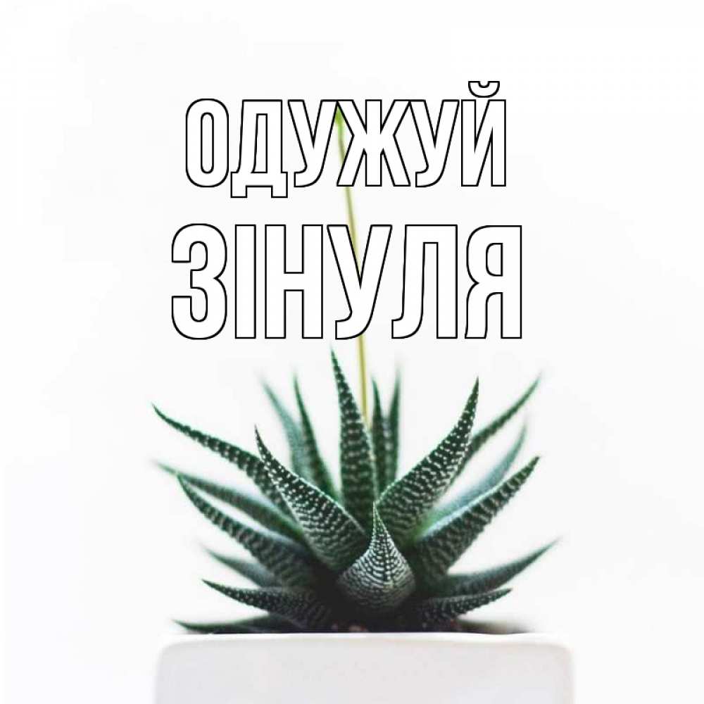Открытка на каждый день з підписом, Зінуля Одужуй короче это непонятная колючка Прикольна листівка з побажанням онлайн скачати безкоштовно 