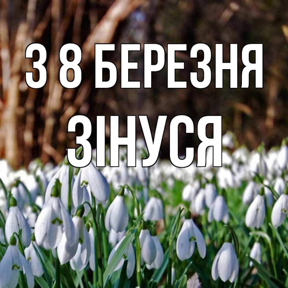 Открытка на каждый день з підписом, Зінуся З 8 БЕРЕЗНЯ с подснежниками 1 Прикольна листівка з побажанням онлайн скачати безкоштовно 