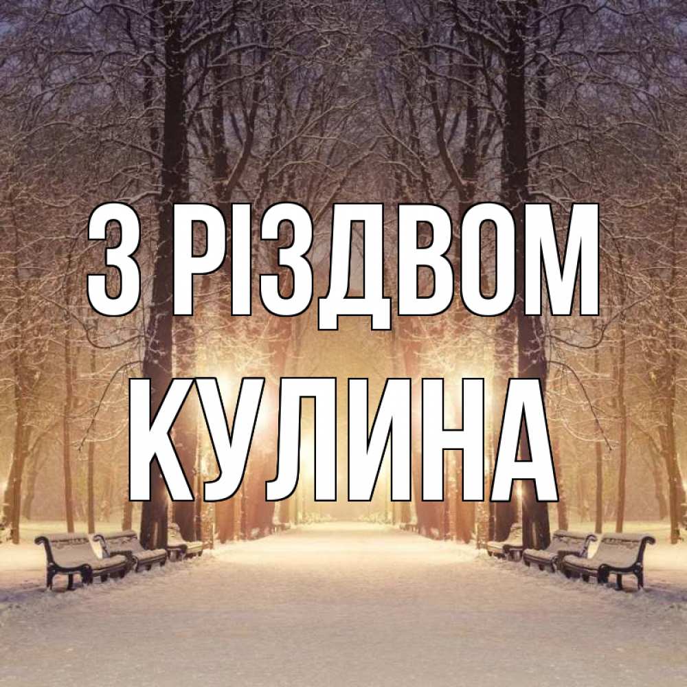 Открытка на каждый день з підписом, Кулина З Різдвом зима, парк, фонарь, лес Прикольна листівка з побажанням онлайн скачати безкоштовно 