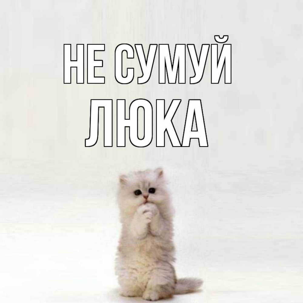 Открытка на каждый день з підписом, Люка Не сумуй грустный кот Прикольна листівка з побажанням онлайн скачати безкоштовно 