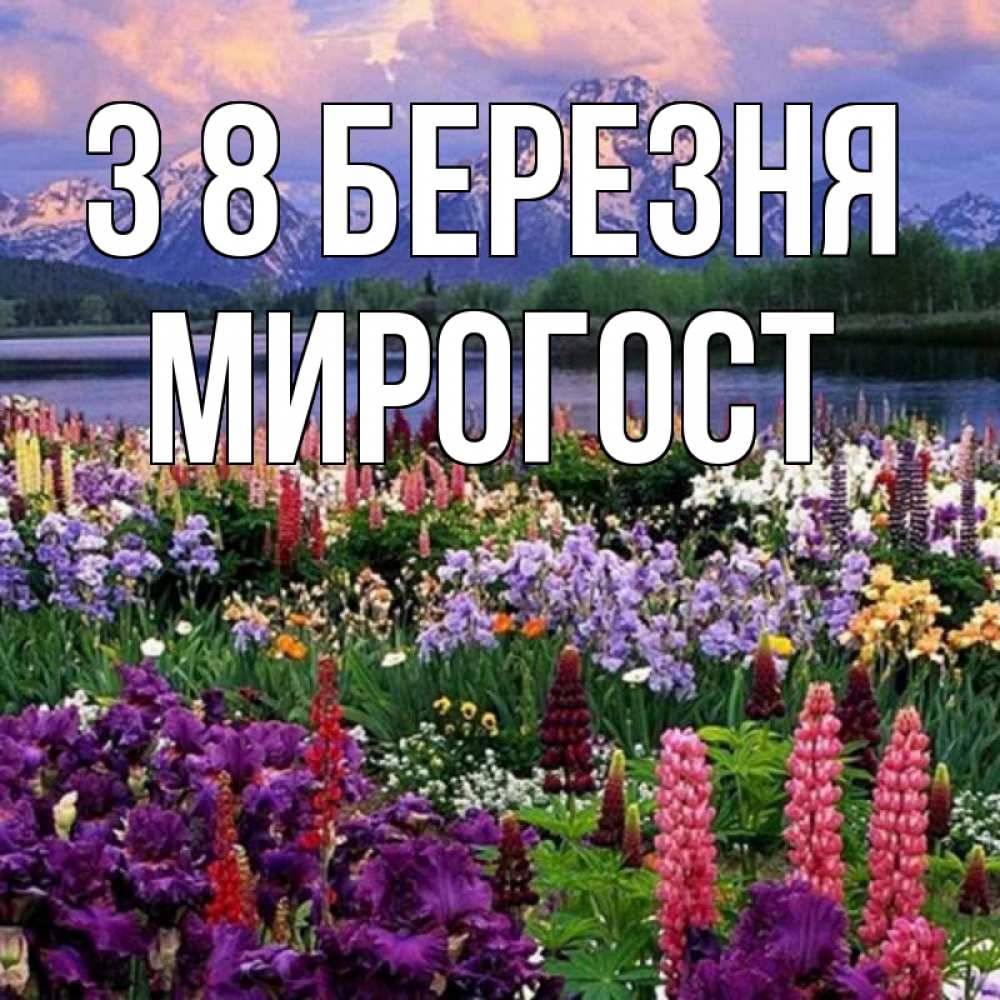 Открытка на каждый день з підписом, Мирогост З 8 БЕРЕЗНЯ международный женский день Прикольна листівка з побажанням онлайн скачати безкоштовно 