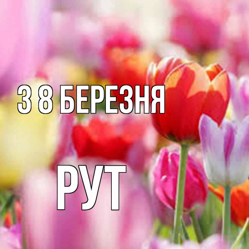 Открытка на каждый день з підписом, Рут З 8 БЕРЕЗНЯ на международный женский день 2 Прикольна листівка з побажанням онлайн скачати безкоштовно 