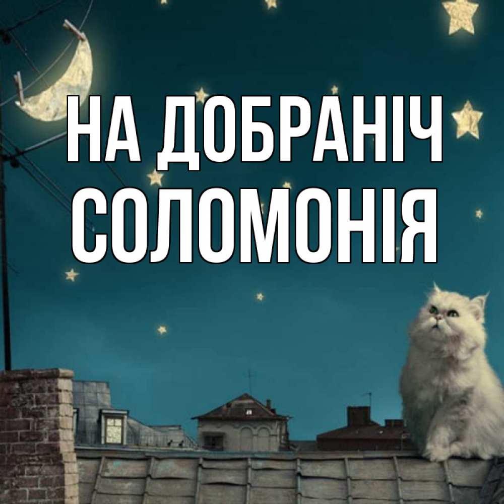 Открытка на каждый день з підписом, Соломонія На добраніч белый кот сидит на крыше Прикольна листівка з побажанням онлайн скачати безкоштовно 